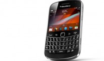 bold-9900